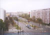 bg03