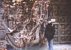 bg26