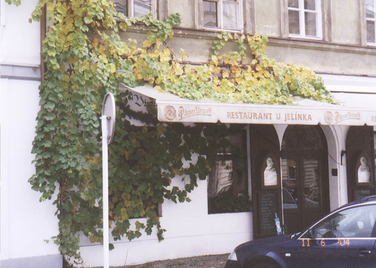 cz08